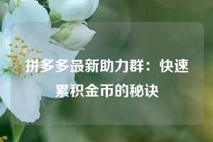 拼多多最新助力群：快速累积金币的秘诀  第1张