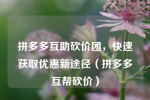 拼多多互助砍价团，快速获取优惠新途径（拼多多互帮砍价）  第1张