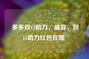  多多双11助力，盛宴，双11助力红包在哪 第1张