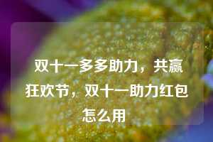  双十一多多助力，共赢狂欢节，双十一助力红包怎么用 第1张