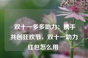  双十一多多助力：携手共创狂欢节，双十一助力红包怎么用 第1张