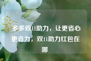  多多双11助力，让更省心更省力，双11助力红包在哪 第1张