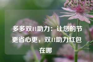  多多双11助力：让您的节更省心更，双11助力红包在哪 第1张