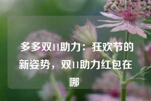  多多双11助力：狂欢节的新姿势，双11助力红包在哪 第1张