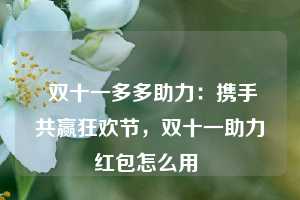  双十一多多助力：携手共赢狂欢节，双十一助力红包怎么用 第1张