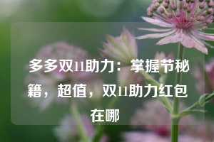  多多双11助力：掌握节秘籍，超值，双11助力红包在哪 第1张