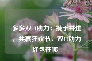  多多双11助力：携手并进，共赢狂欢节，双11助力红包在哪 第1张