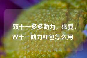  双十一多多助力，盛宴，双十一助力红包怎么用 第1张