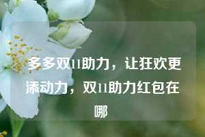  多多双11助力，让狂欢更添动力，双11助力红包在哪 第1张