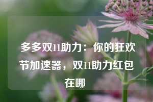  多多双11助力：你的狂欢节加速器，双11助力红包在哪 第1张