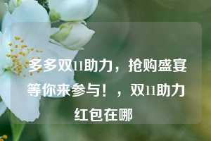  多多双11助力，抢购盛宴等你来参与！，双11助力红包在哪 第1张