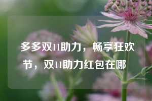  多多双11助力，畅享狂欢节，双11助力红包在哪 第1张