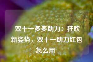  双十一多多助力：狂欢新姿势，双十一助力红包怎么用 第1张