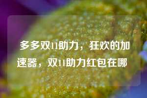  多多双11助力，狂欢的加速器，双11助力红包在哪 第1张