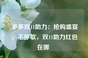  多多双11助力：抢购盛宴，不停歇，双11助力红包在哪 第1张