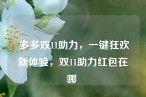  多多双11助力，一键狂欢新体验，双11助力红包在哪 第1张