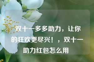  双十一多多助力，让你的狂欢更尽兴！，双十一助力红包怎么用 第1张