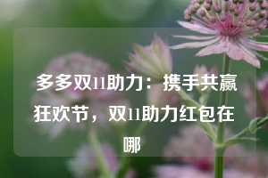  多多双11助力：携手共赢狂欢节，双11助力红包在哪 第1张