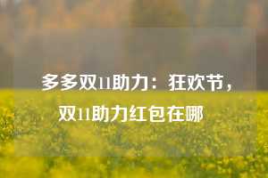  多多双11助力：狂欢节，双11助力红包在哪 第1张