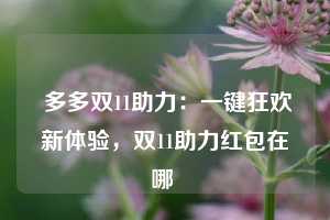  多多双11助力：一键狂欢新体验，双11助力红包在哪 第1张