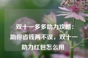  双十一多多助力攻略：助你省钱两不误，双十一助力红包怎么用 第1张