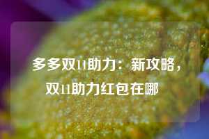  多多双11助力：新攻略，双11助力红包在哪 第1张