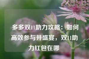  多多双11助力攻略：如何高效参与并盛宴，双11助力红包在哪 第1张