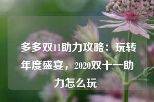  多多双11助力攻略：玩转年度盛宴，2020双十一助力怎么玩 第1张