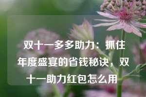  双十一多多助力：抓住年度盛宴的省钱秘诀，双十一助力红包怎么用 第1张