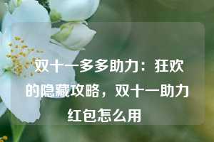  双十一多多助力：狂欢的隐藏攻略，双十一助力红包怎么用 第1张