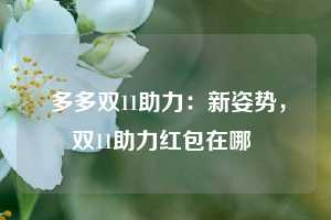  多多双11助力：新姿势，双11助力红包在哪 第1张