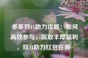  多多双11助力攻略：如何高效参与，赢取丰厚福利，双11助力红包在哪 第1张