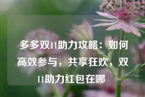  多多双11助力攻略：如何高效参与，共享狂欢，双11助力红包在哪 第1张