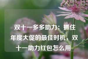  双十一多多助力：抓住年度大促的最佳时机，双十一助力红包怎么用 第1张