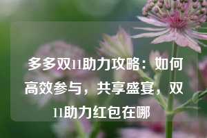  多多双11助力攻略：如何高效参与，共享盛宴，双11助力红包在哪 第1张