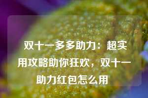  双十一多多助力：超实用攻略助你狂欢，双十一助力红包怎么用 第1张