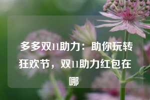  多多双11助力：助你玩转狂欢节，双11助力红包在哪 第1张