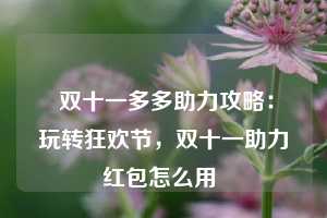  双十一多多助力攻略：玩转狂欢节，双十一助力红包怎么用 第1张