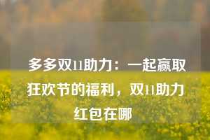  多多双11助力：一起赢取狂欢节的福利，双11助力红包在哪 第1张